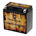 Shadow A. (14-BS Aero, Motorcycle Volt,12 C3, Pirate E. T Battery C. Honda Vt1100c, Tourer) (spirit, 12 Ah, YTX14-BS for CCA) 200 1100cc 2006 Battery