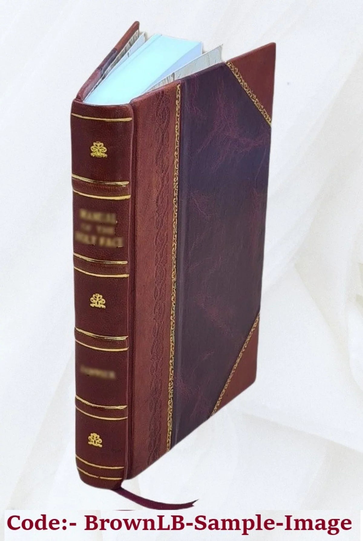 1871 Erbena. Kytice Karla Bound] Jarom¨ªra b¨¢sn¨ª [Leather z