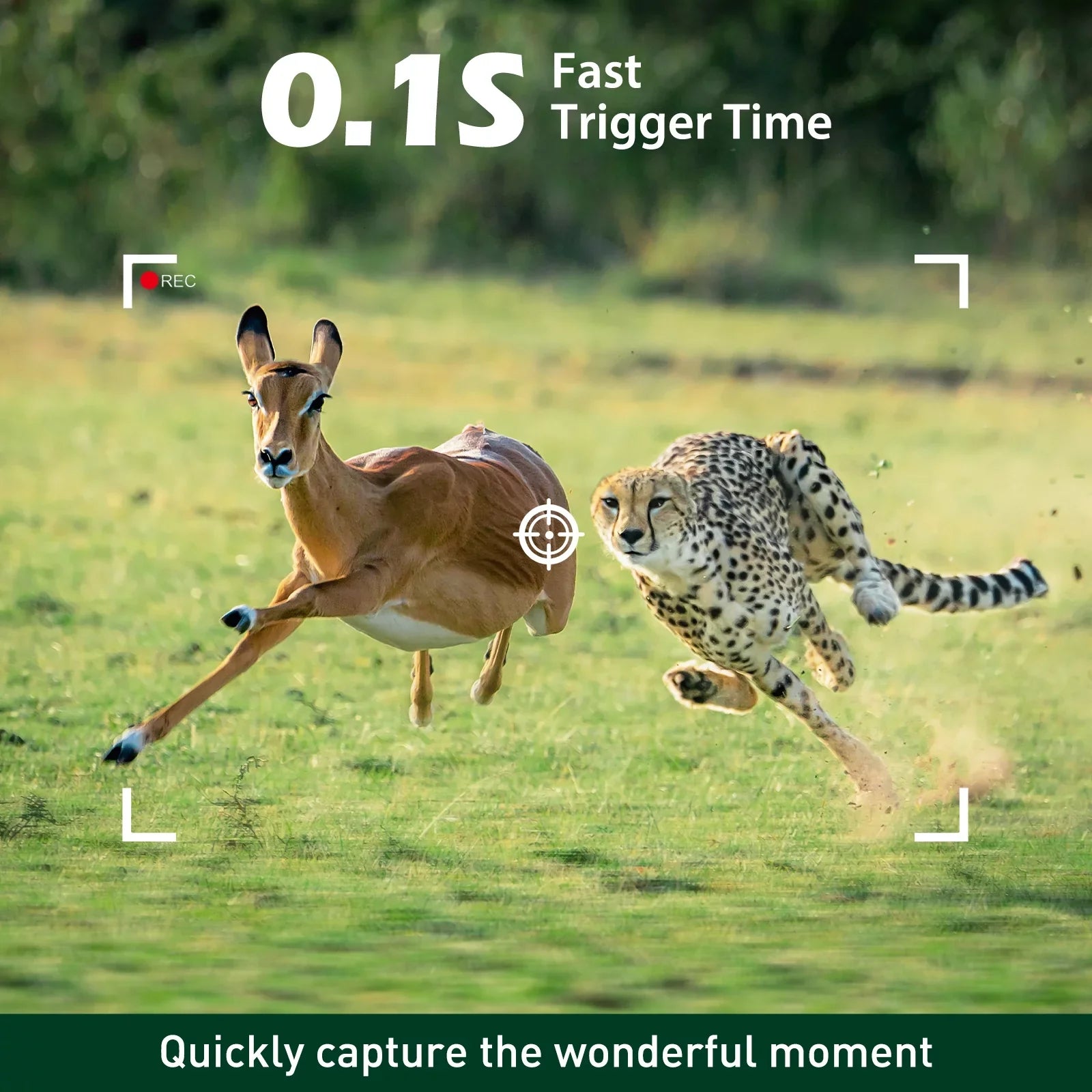 Monitor for with SD 4K Camera, Trail 0.1s Card 40MP Time 120¡ã Motion Sensor with Trail Night Cam Vision Wide Deer Waterproof IP66 Trigger Latest Angel Camera Game Time-Lapse TOGUARD Wildlife Hunting