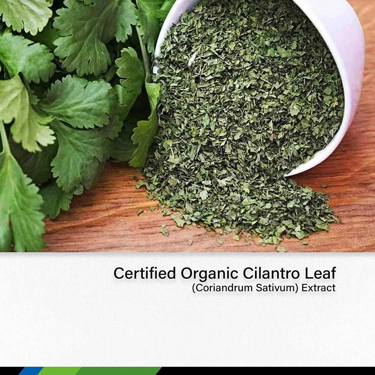Cilantro Organic Detox Coriandrum Supplement Oz Liquid Body - Free Alcohol for Cilantro HERBS fl. - - Extract Leaf & Cleansing Drops Cilantro Tincture MAUWE 2 Sativum