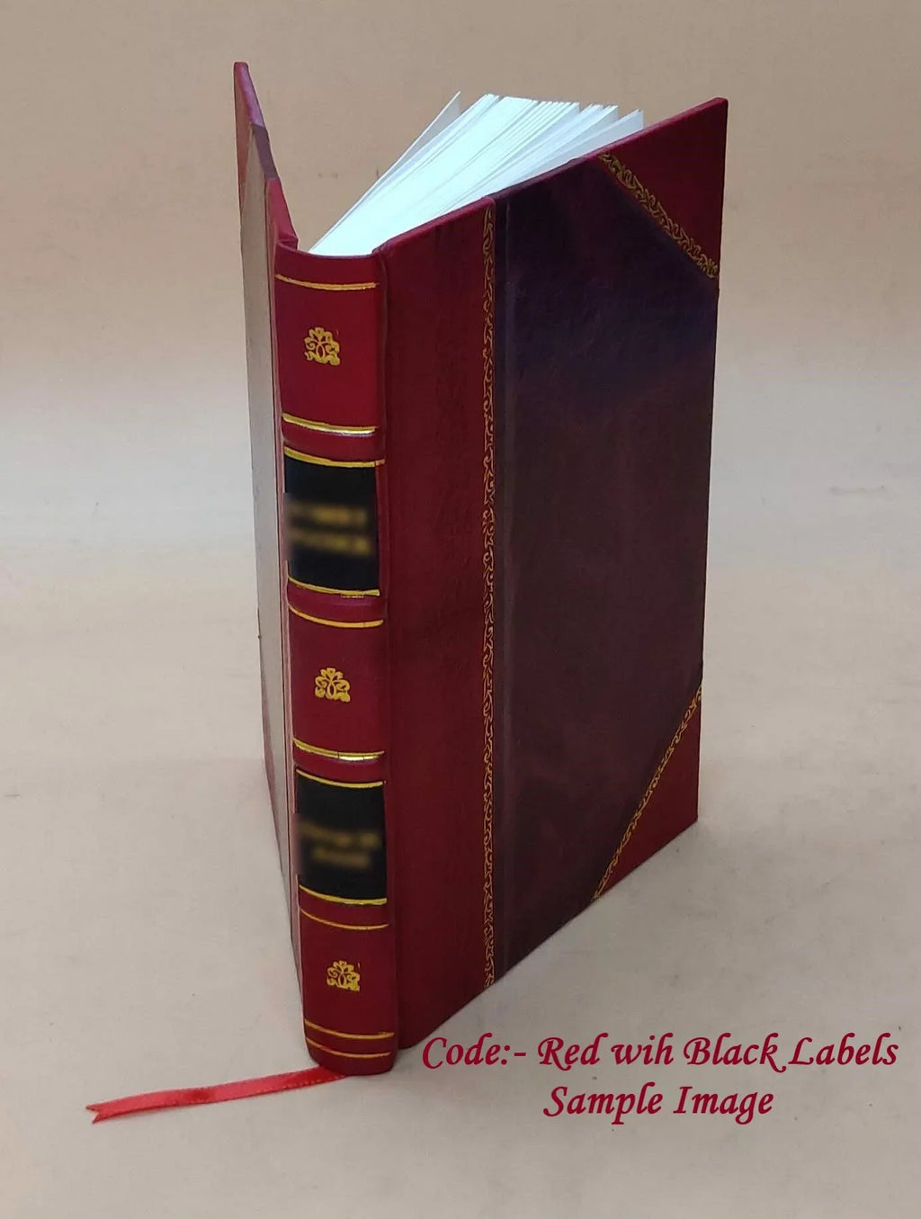1907 Catalog BOUND] Union 1893 [LEATHER 1893-1907 1893 Volume - College