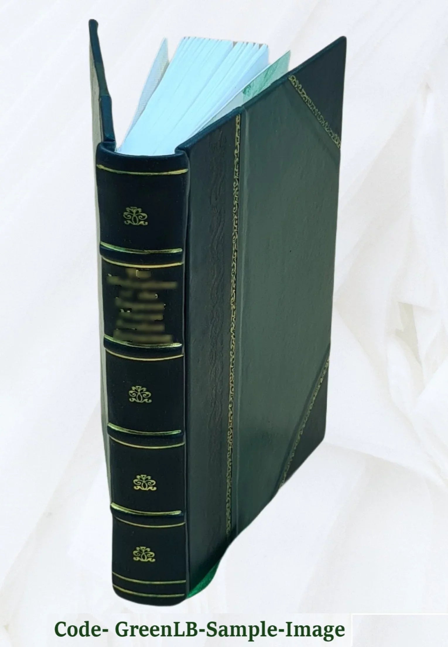 post de ea, Nicolai deducta. Historia claris de illo ad Gymnasii Patavini Cum sunt, profes hactenus & pleni¨´s, auctario emendati¨´s qu? nostra Papadopoli h?c Comneni tempora scripta